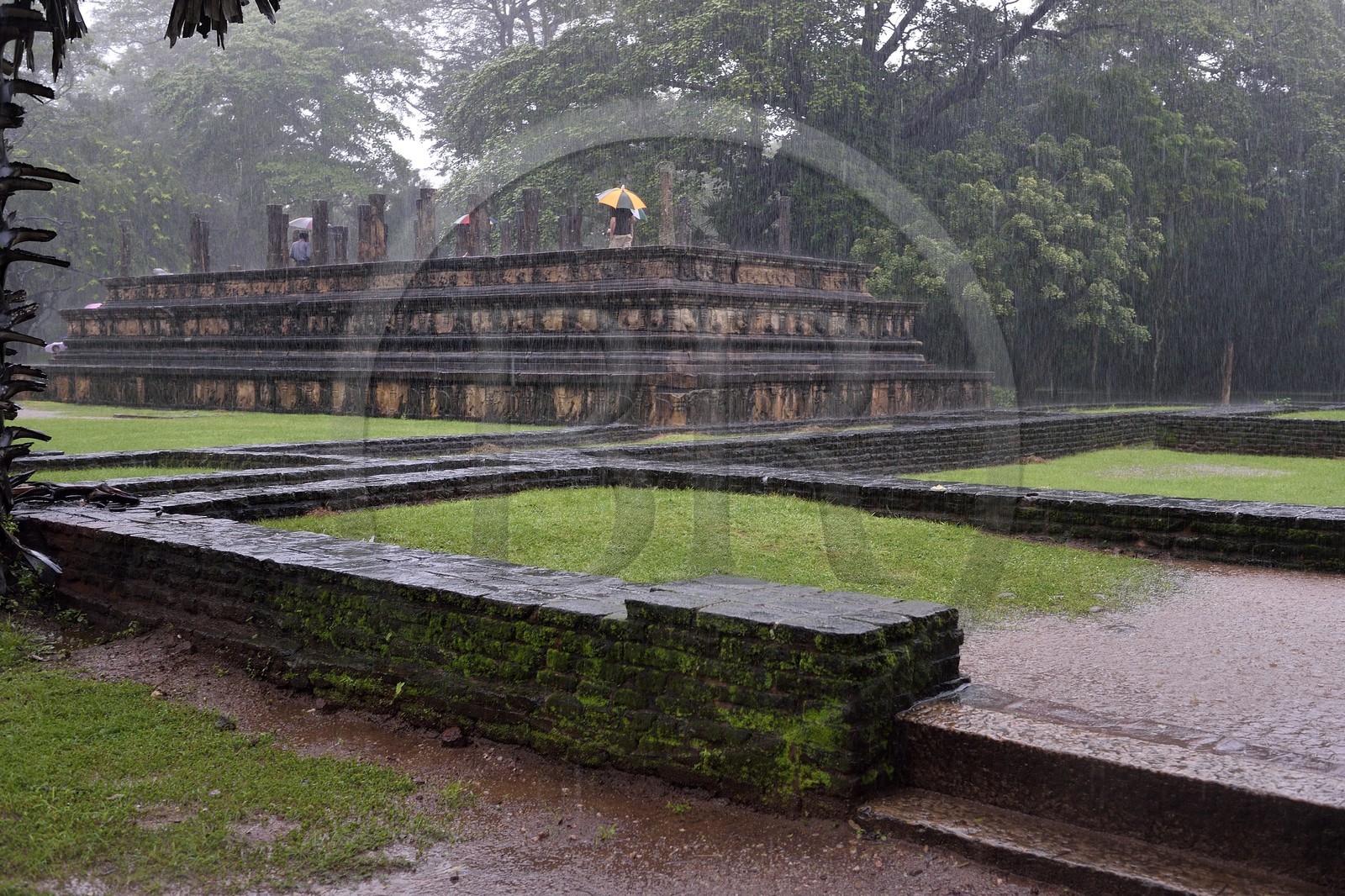 Sri Lanka, province du Centre-Nord, Polonnaruwa, l'ancienne capital du pays (XIe au XIIIe siècle) est classée au Patrimoine Mondial de l'UNESCO, Chambre du Conseil (Raja Sabahawa) datant du XIIe siècle