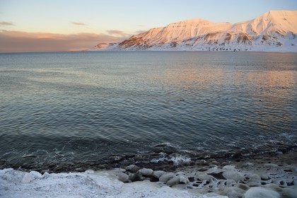 Norvège, Svalbard, Spitzberg, Longyearbyen, Adventfjorden, dentelle d'eau salée glacée