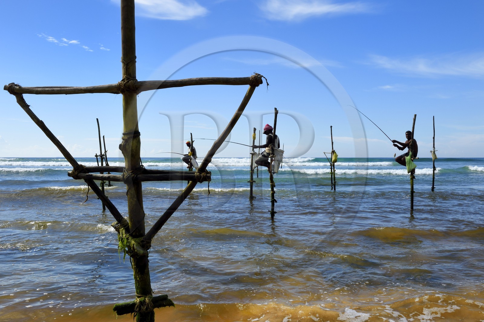 Sri Lanka, Province du Sud, région de Galle, plage de Midigama, pecheurs sur poteaux