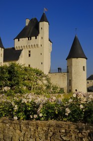 France, Indre et Loire (37), château du Rivau