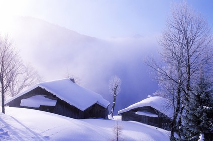 France, Haute-Savoie (74), les portes du soleil (hiver) village de Morzine