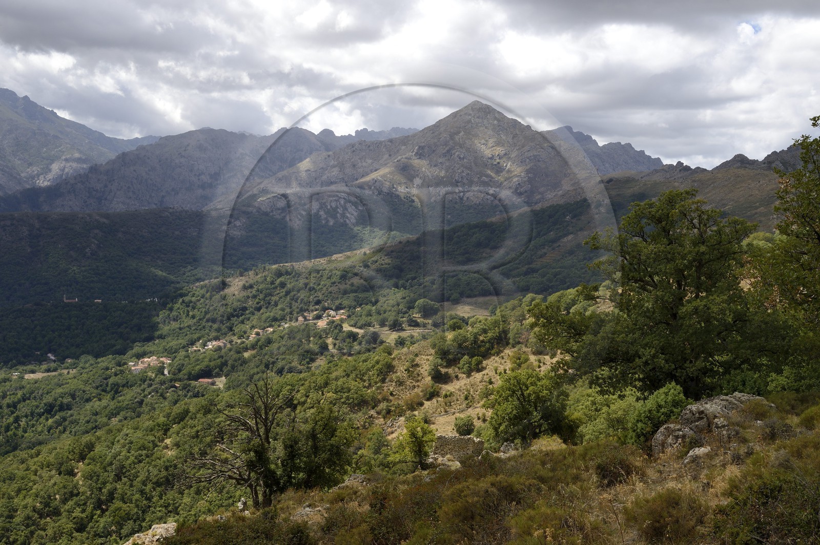 France, Haute-Corse (2B), Balagne, les montagnes qui bordent Le Giussani depuis la Bocca di a Battaglia et la forêt de Tartagine qui monte à l’assaut du Monte Padro