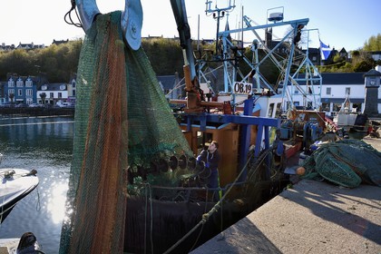 Royaume-Uni, Ecosse, Highland, Hébrides intérieures, Ile de Mull, la ville principale Tobermory et son port