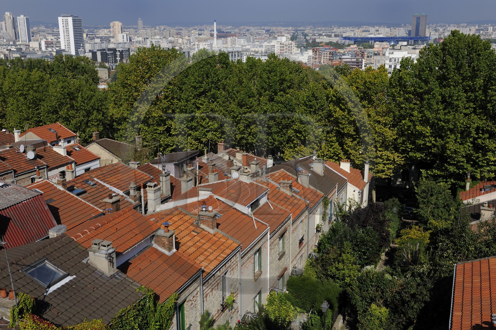 France, Paris (75), 20ème arr, La campagne à Paris du quartier Mouzaïa maisons avec jardins au coeur de la ville