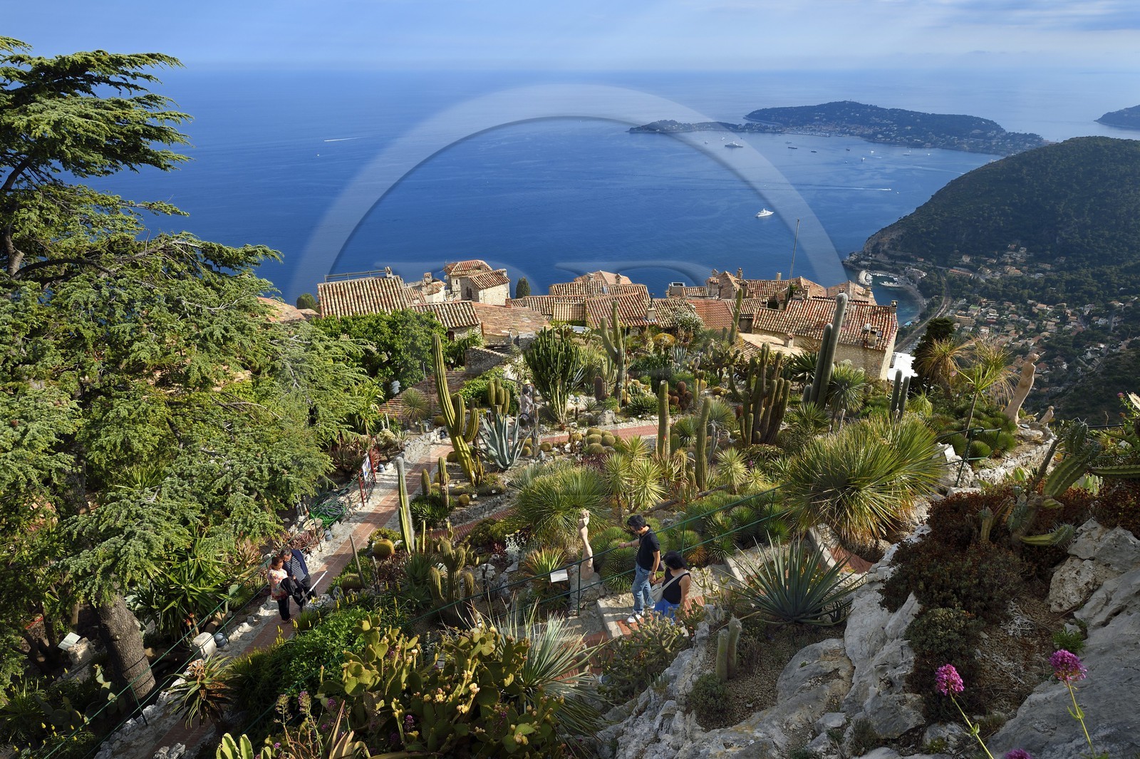 France, Alpes-Maritimes (06), le village perché d'Eze et son Jardin Exotique, Saint-Jean-Cap-Ferrat en arrière plan