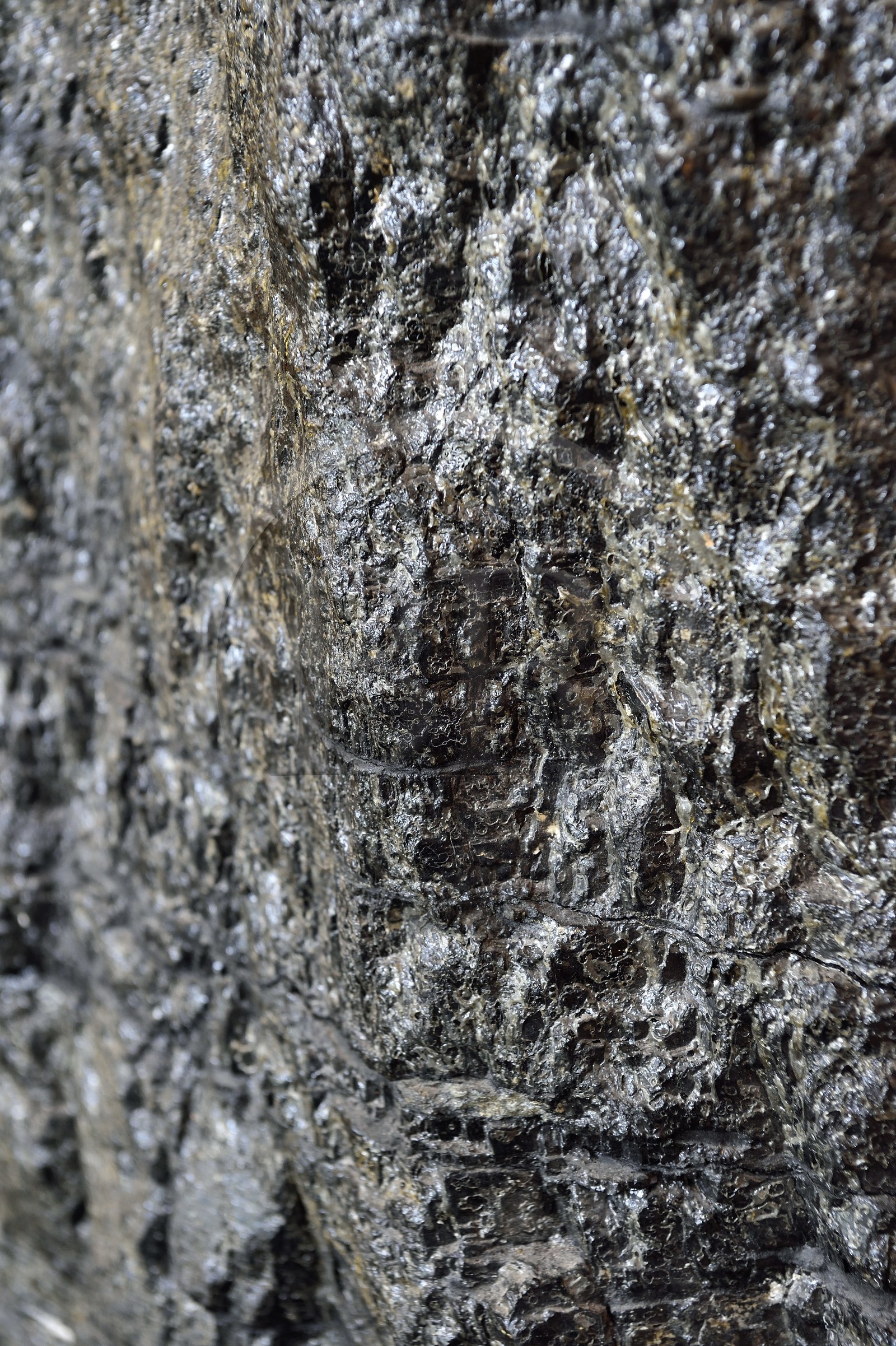 France, Moselle (57), Petite-Rosselle, le musée du carreau Wendel, bloc de charbon