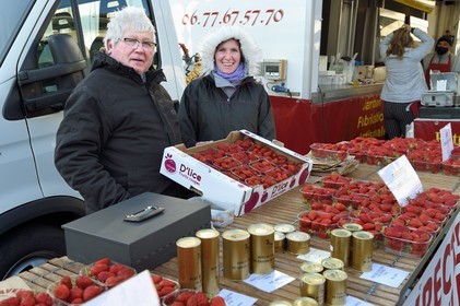 France, Dordogne (24), Périgord Vert, Thiviers, Alain Lavisa et sa fille Audrey vendent leurs fraises Guariguette au marché du samedi matin sur la place Foch