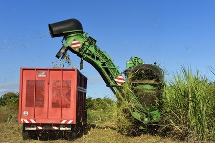 France, Ile de la Reunion, Saint-Louis, récolte mécanique avec une moissonneuse de canne à sucre dans un champ de canne à sucre