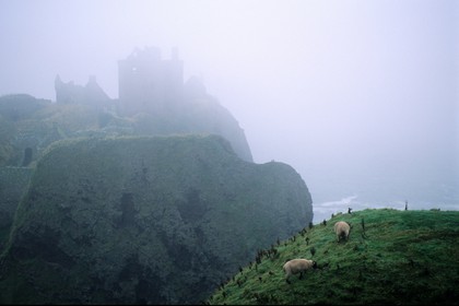 Royaume-Uni, Ecosse, Aberdeenshire, au sud de Stonehaven, le château de Dunnottar dans la brume