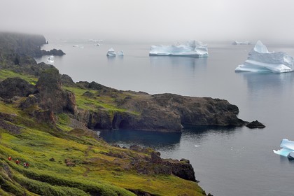 Groenland, cote ouest, Ile de Disko, Qeqertarsuaq, randonneurs sur la côte et icebergs dans la brume en arrière plan