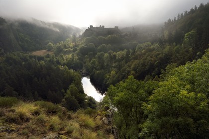 France, Haute-Loire (43), vallée de la Loire, Arlempdes, labellisé les Plus beaux villages de France, ruines du chateau perché sur un rocher basaltique qui surplombe un méandre de la Loire