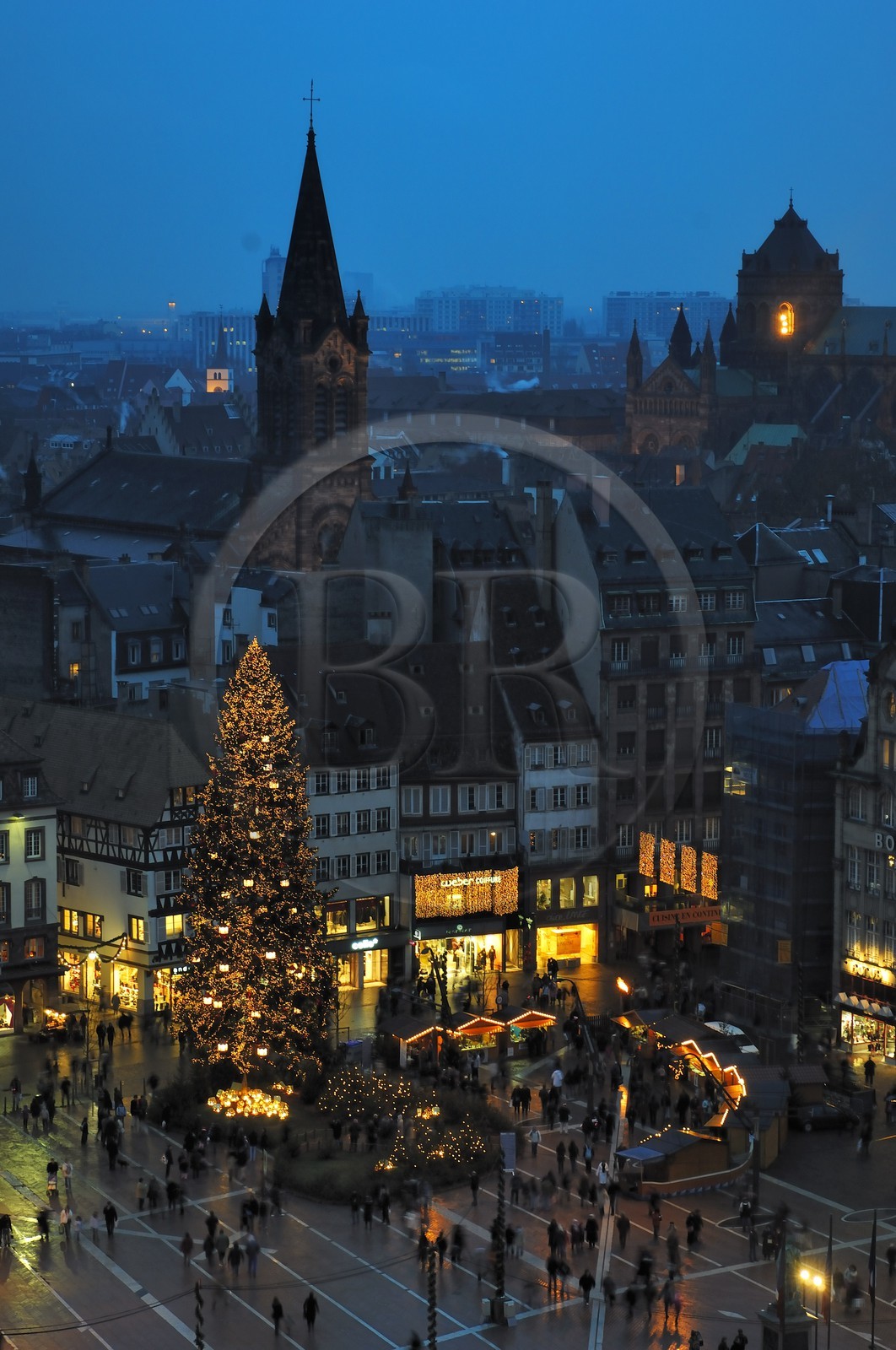 France, Bas Rhin (67), Strasbourg, le Grand Sapin de Noel de la place Kleber