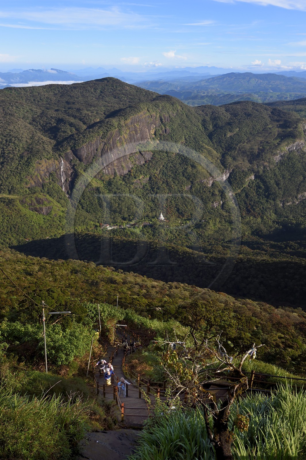 Sri Lanka, province du centre, Dalhousie, escalier menant au Pic d'Adam (Adam's Peak)