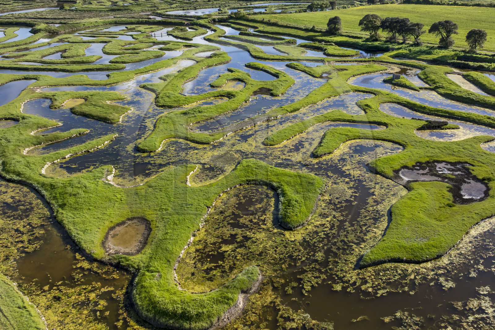 France, Vendée (85), Talmont-Saint-Hilaire, marais de la Guittière dans l'arrière pays de la Pointe du Payré, passage du Cul d’Ane, marais aménagés pour la pisciculture de dorades, mulets et anguilles (vue aérienne)