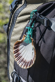 France, Hérault (34), les Causses et les Cévennes, paysage culturel de l'agro-pastoralisme méditerranéen inscrit au Patrimoine Mondial de l'UNESCO, gorges de La Vis, Saint-Maurice-Navacelles, le Cirque de Navacelles