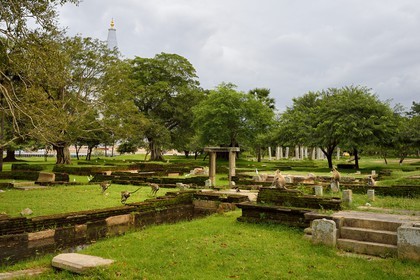 Sri Lanka, province du Centre-Nord, site d'Anuradhapura classé Patrimoine Mondial de l'UNESCO, capitale du Sri Lanka au IIIe siècle avant JC, singes courant dans les ruines et le stupa de Ruwanwelisaya en arrière plan