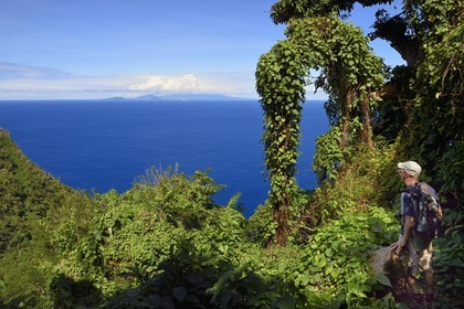 Caraïbes, Ile de la Dominique, randonneur sur le segment 13 du Waitukubuli National Trail dans le nord de l'île entre Pennville et Capuchin, les Saintes en Guadeloupe en arrière plan