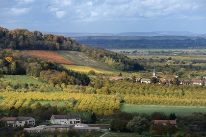 France, Meuse (55), Parc régional de Lorraine, Cotes de Meuse, le village de Billy-sous-les-Côtes et mirabellier dans la plaine de la Woëvre