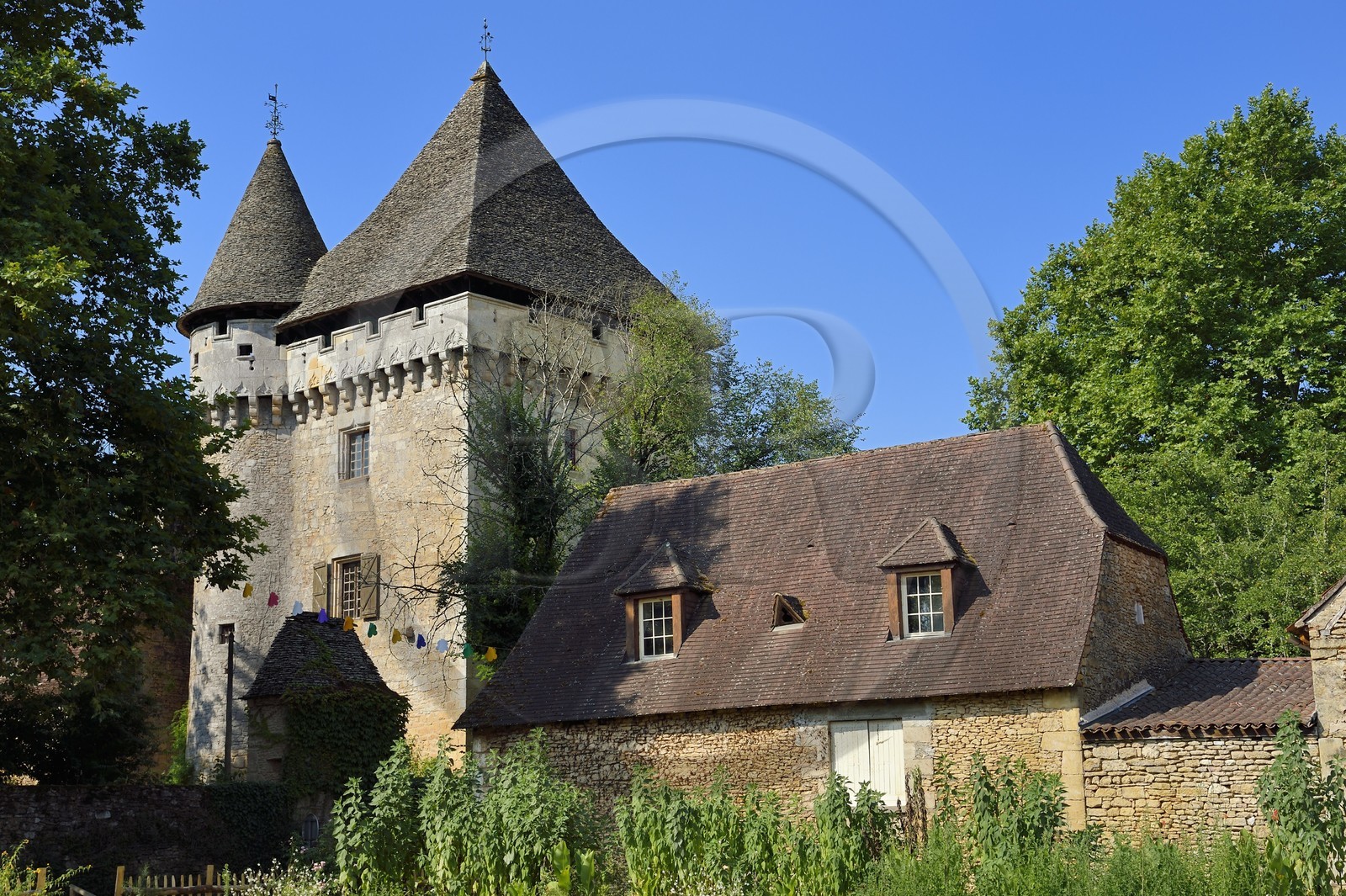France, Dordogne (24), Périgord Noir, vallée de la Vézère, Saint-Léon-sur-Vézère, labellisé Les Plus Beaux Villages de France, le donjon du manoir de la Salle