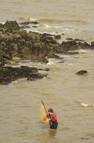 France, Charente-Maritime (17), Ile d'Aix, pêche à la treuille (pour les crevettes) plage des Sables Jaunes