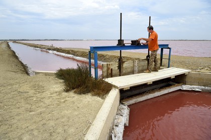 France, Bouches-du-Rhône (13), Camargue, Salin-de-Giraud, les salins du Midi, le saunier aiguadier Pierre Brun controle une marteliere, vanne pour l'irrigation de marais salants