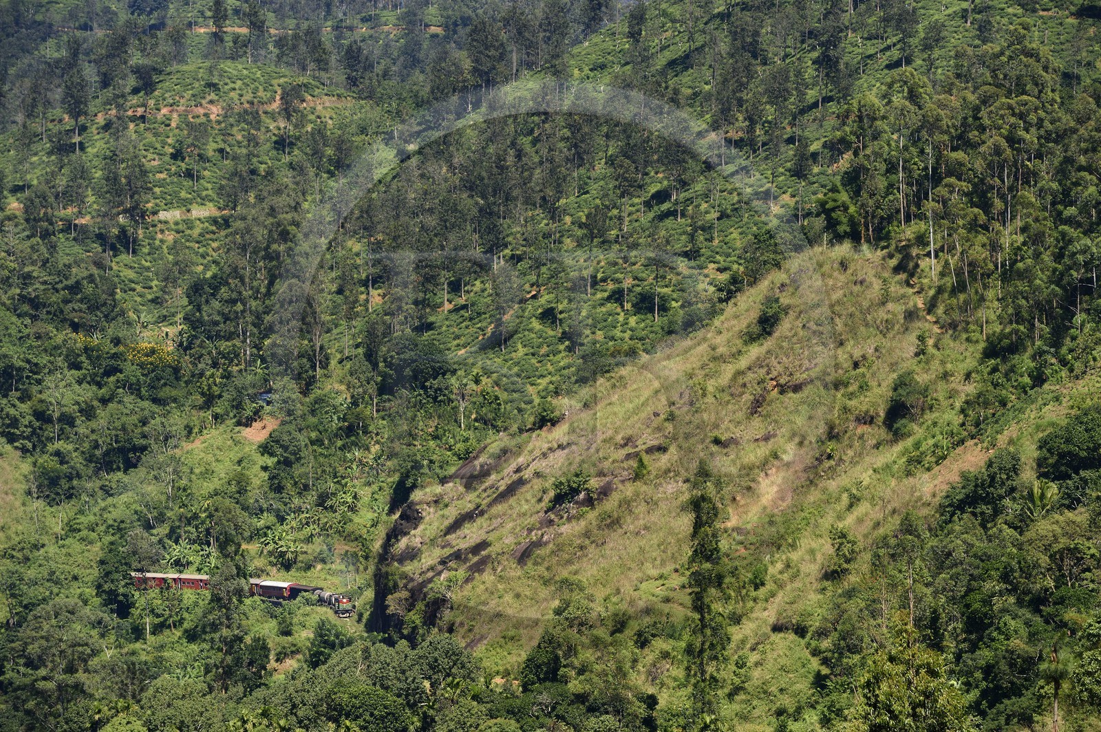 Sri Lanka, Province d'Uva, train sur la voie de chemin de fer dans la région montagneuse de la culture du thé non loin de Ella (Badulla district)