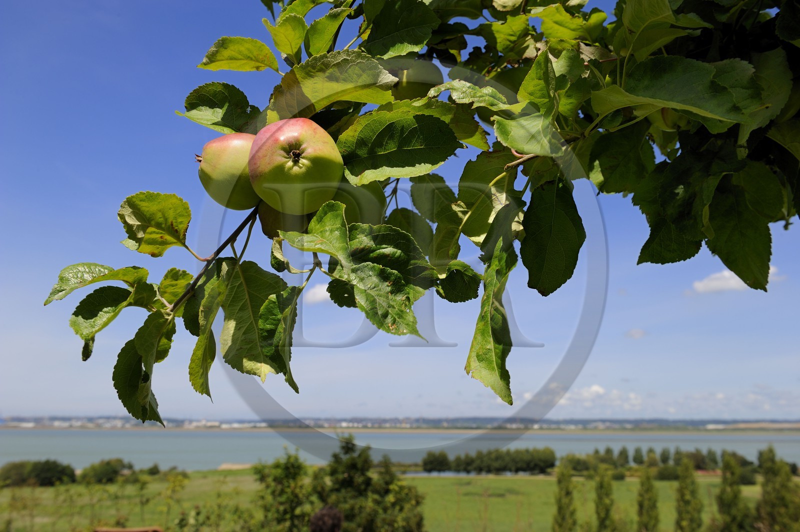 France, Calvados (14), Honfleur, vue sur la Seine et Le Havre