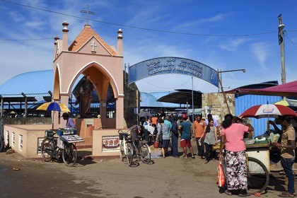 Sri Lanka, Province de l'Ouest, Negombo, le marché aux poissons