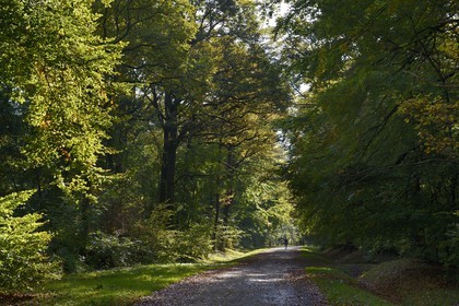France, Marne (51), Parc Naturel Regional de la Montagne de Reims,