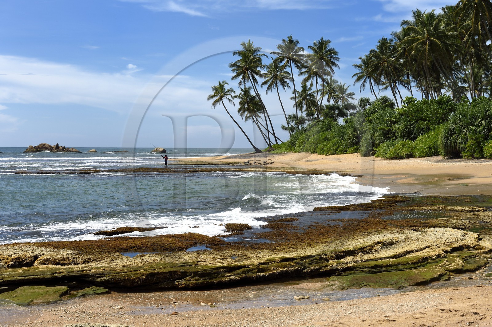 Sri Lanka, Province du Sud, Galle, plage du Jetwing Lighthouse Hotel