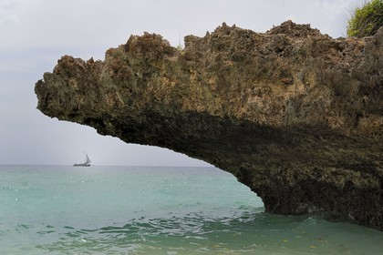 Tanzanie, archipel de Zanzibar, île de Unguja (Zanzibar), côte ouest, Eco-bungalows et réserve naturelle de Chumbe Island Coral Park