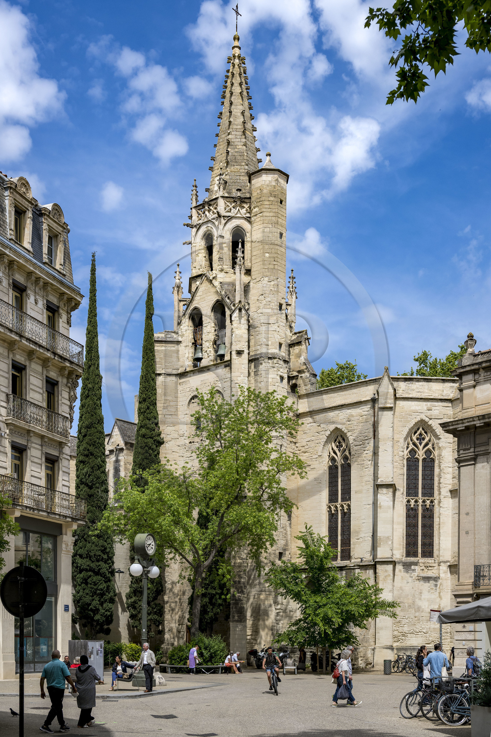 France, Vaucluse (84), Avignon, basilique Saint Pierre (XVe et XVIe siècle)