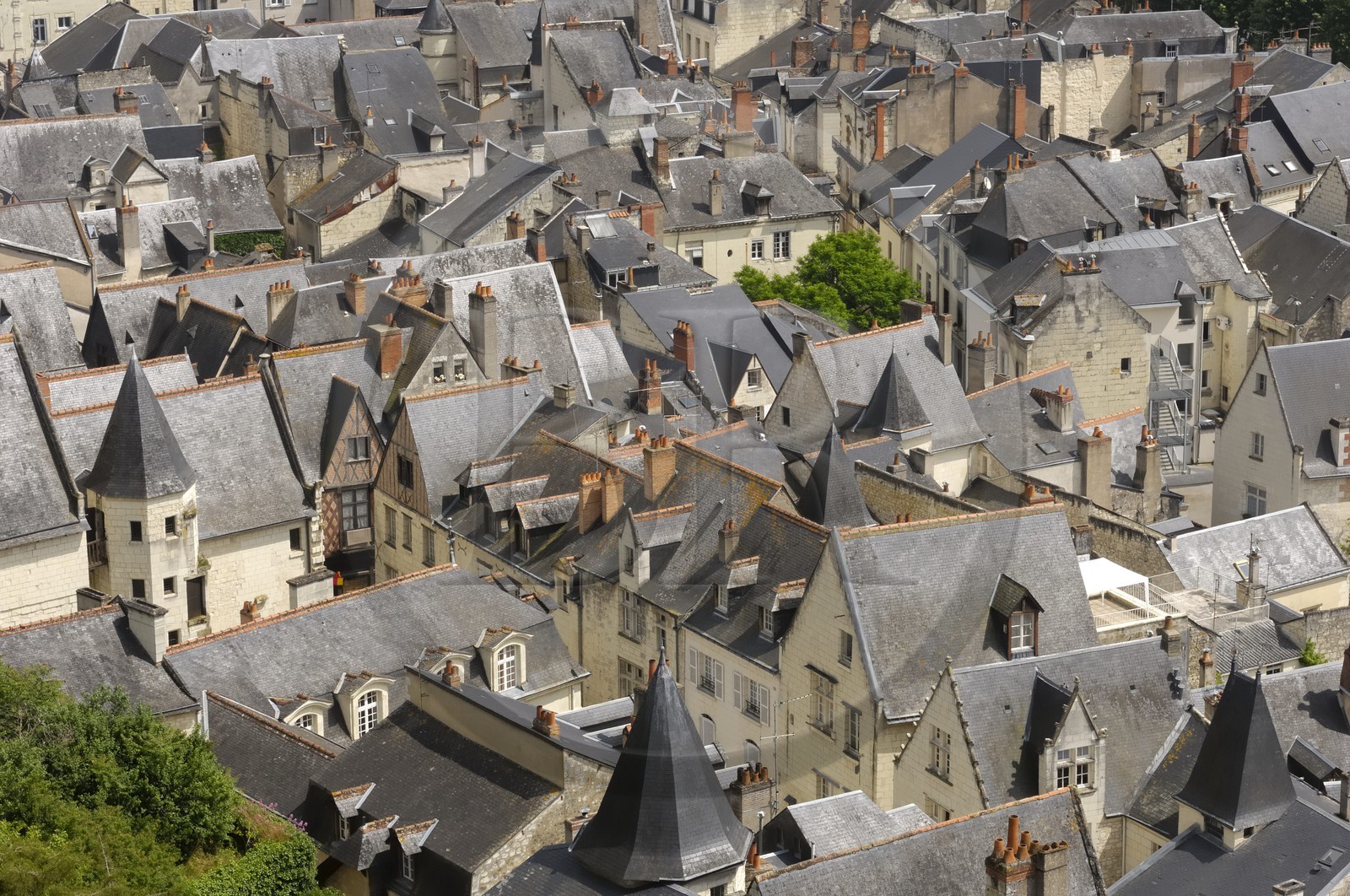 France, Indre et Loire (37), Vallée de la Loire classée Patrimoine Mondial de l'UNESCO, Chinon, la vieille ville vue depuis le château