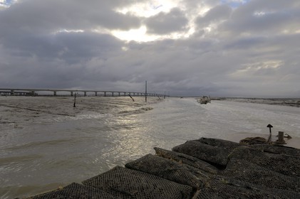 France, Charente-Maritime (17), Ile d'Oléron, le pont viaduc d'Oléron et chaland à huîtres sortant du chenal d'Ors
