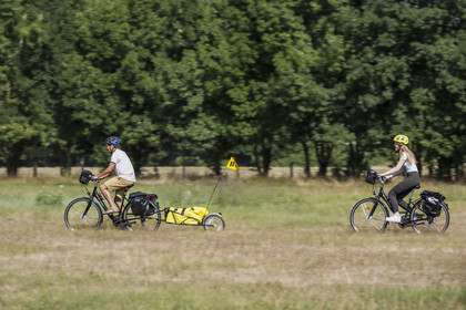 France, Maine-et-Loire (49), vallée de la Loire classée au Patrimoine Mondial par l'UNESCO, Saumur vers Saint-Hilaire, randonnée à bicyclette sur les berges de la Loire, vélo avec une remorque transportant le matériel de camping
