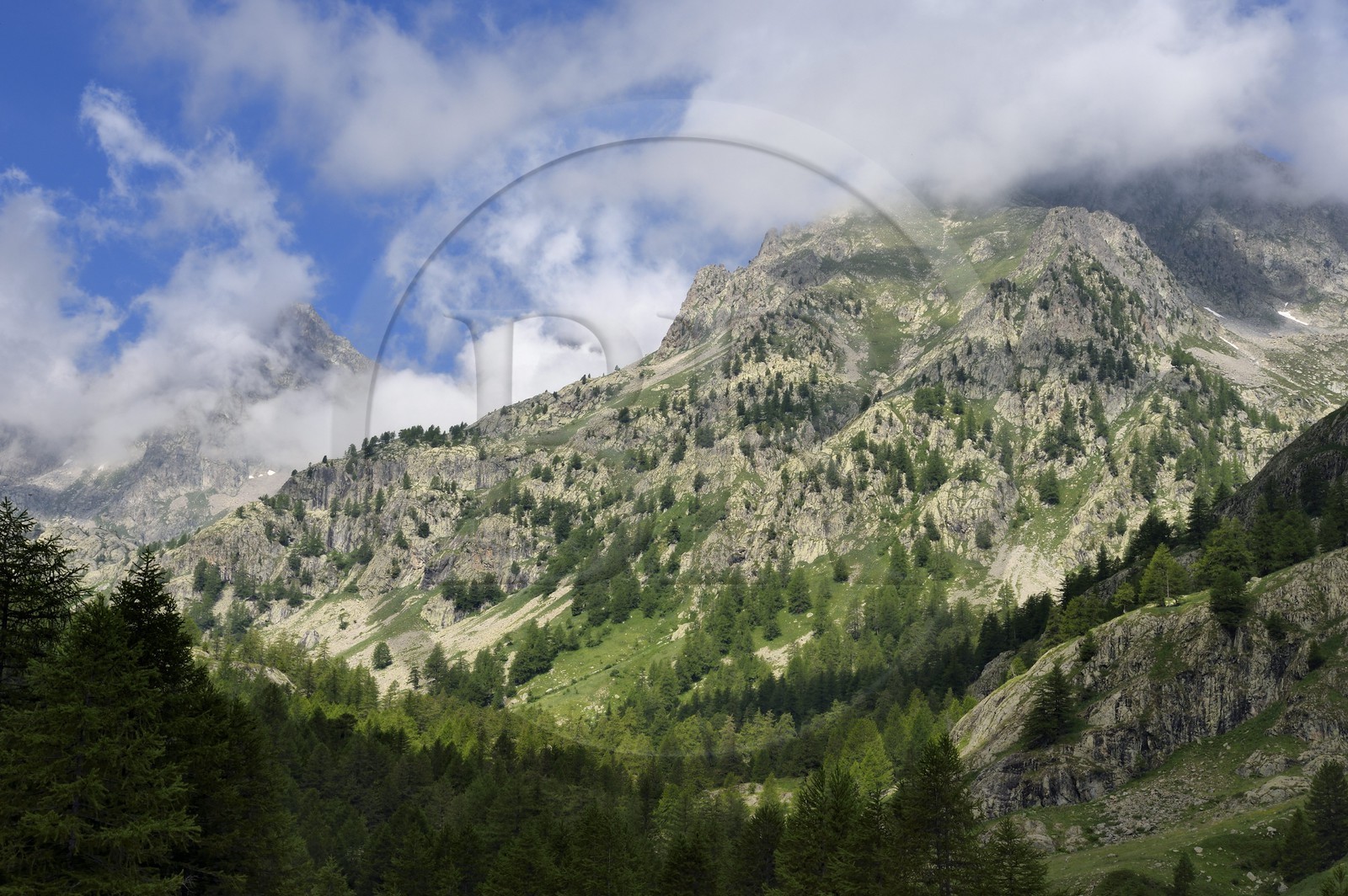 France, Alpes-Maritimes (06), parc national du Mercantour, vallée de la Valmasque, sommets de la haute Valmasque et la cime de l'Agnel (2927m)