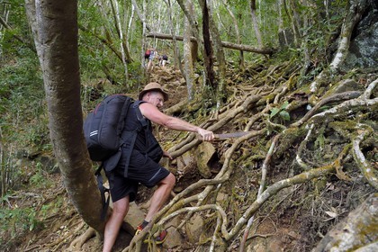 France, Ile de Mayotte, Grande-Terre, Réserve Forestière des Cretes du Sud, randonneurs montant au sommet du Mont Choungui (594 mètres)