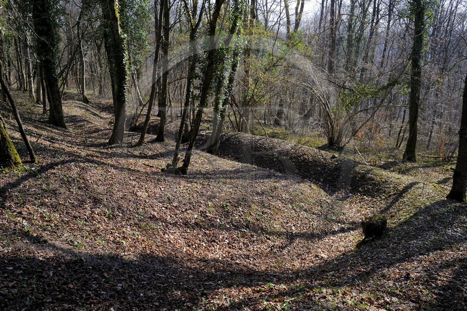 France, Meuse (55), région de Verdun, traces des tranchées autours du Fort de Souville