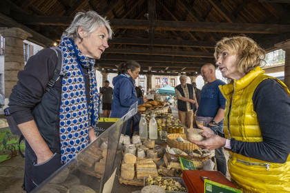 France, Lozère (48), Langogne, le marché sous la Halle aux grains, fromages fermiers bio au lait cru Lou Prat d'Estébé de Cathy et Michel Dupire