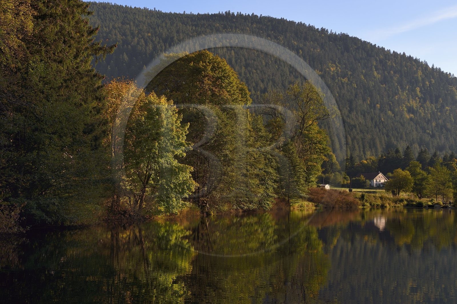 France, Vosges (88), Le Valtin dans la haute-vallée de la Meurthe, l'étang des dames traversé par la rivière de la Meurthe