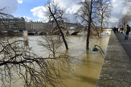 France, Paris (75), les rives de la Seine, classées Patrimoine Mondial de l'UNESCO, la crue de la Seine de janvier 2018, l'arrêt du Batobus du quai du Louvre, en arrière plan le pont Royal