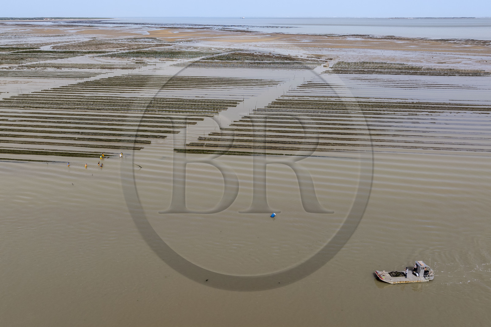 France, Charente-Maritime (17), Ile d'Oléron, Dolus-d’Oléron, entretien des parcs à huitres du bassin de Marennes-Oléron dans le Pertuis d'Antioche à marée basse (vue aérienne)