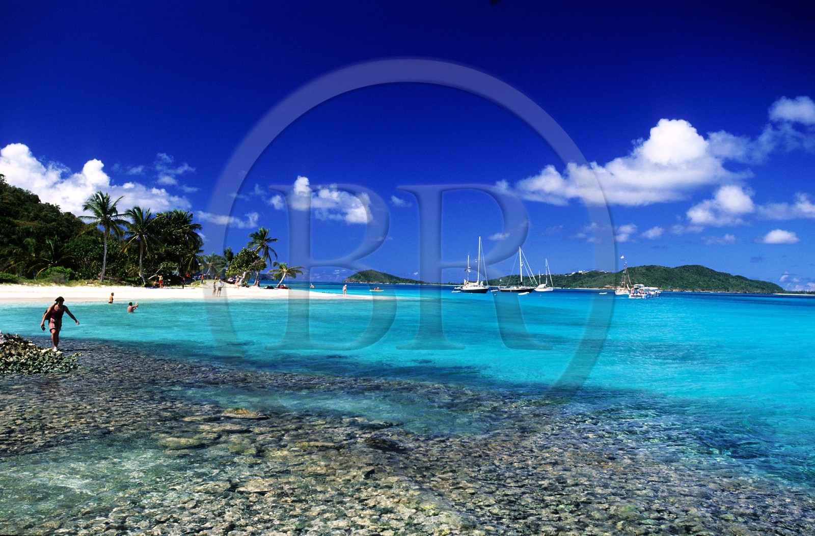 Caraïbes, Saint-Vincent et les Grenadines, archipel des Tobago Cays, plage d'une petite île inhabitée