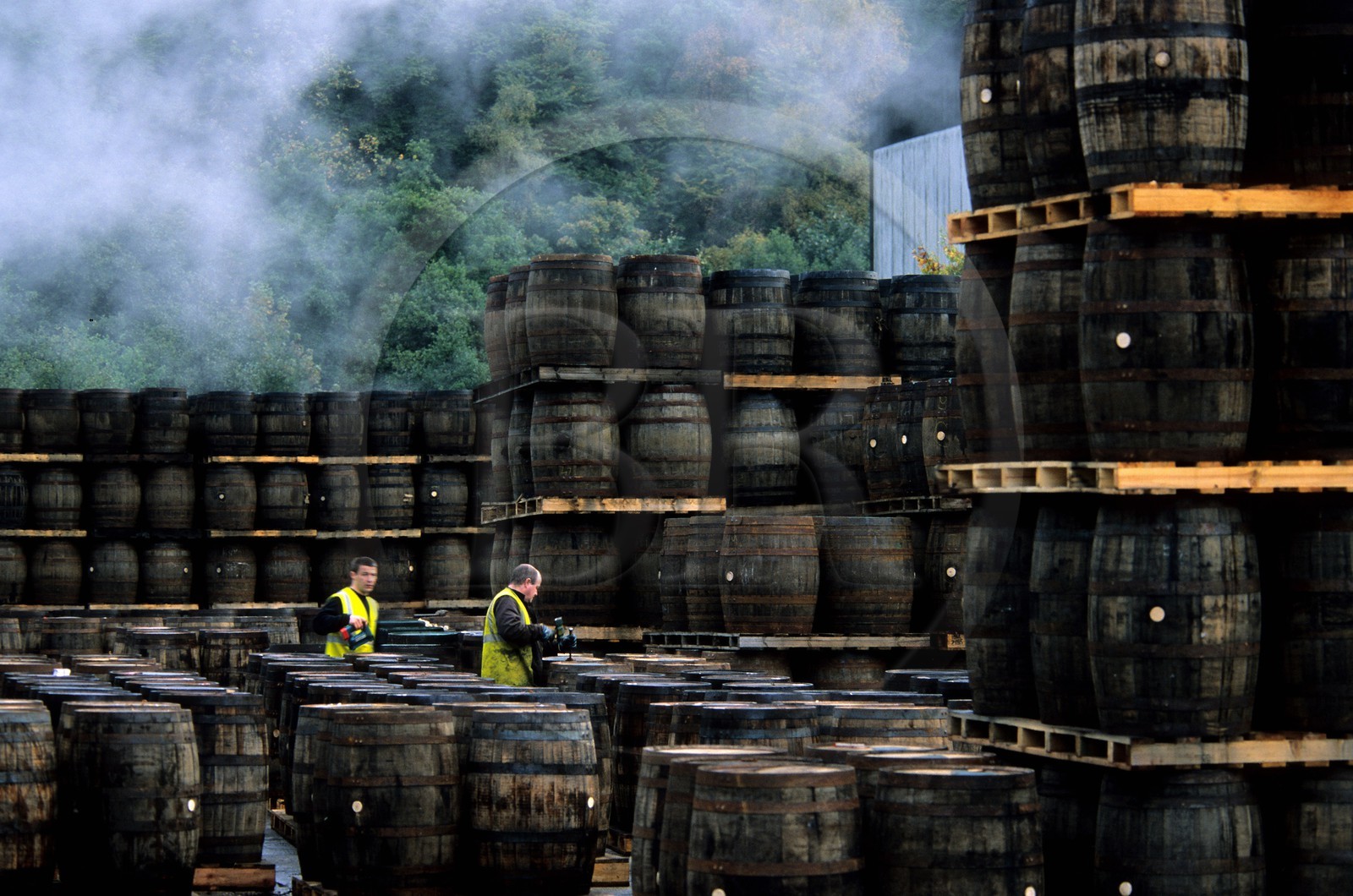 Royaume-Uni, Ecosse, Moray, Dufftown, Glenfiddich distillery (single malt whisky), tonnellerie intégrée à la distillerie