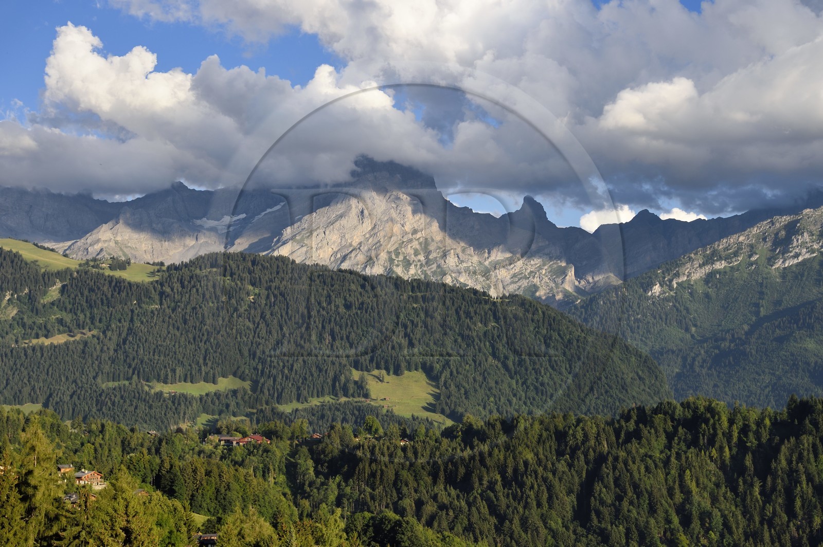 Suisse, canton de Vaud, Villars-sur-Ollon, panorama sur le massif de l'Argentine surplombant Solalex