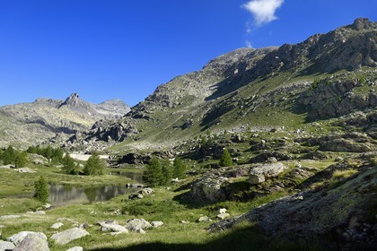 France, Alpes-Maritimes (06), parc national du Mercantour, Vallée des Merveilles parsemée de milliers de gravures rupestres de l'Age de bronze, le lac Long inférieur, le Mont des Merveilles (2720m) à gauche et le Mont Bégo (2872m) à droite