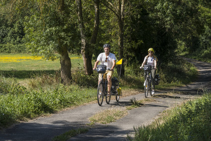 France, Maine-et-Loire (49), vallée de la Loire classée au Patrimoine Mondial par l'UNESCO, Saumur vers Saint-Hilaire, randonnée à bicyclette le long des berges de la Loire sur la piste cyclable La Loire à Vélo, vélo avec une remorque transportant le matériel de camping