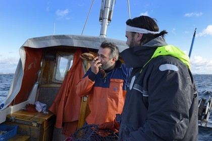 Suède, Västra Götaland, Iles Koster, sortie en mer pour récupérer les casiers à homards
