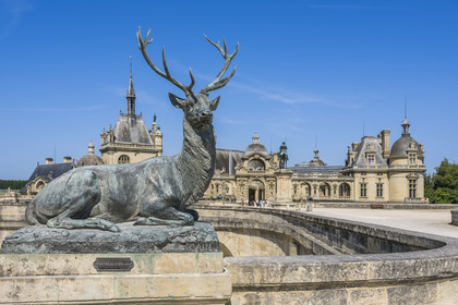 France, Oise (60), Chantilly, le chateau de Chantilly et musée Condé, terrasse du Connétable, cerf assis oeuvre du sculpteur Auguste Cain