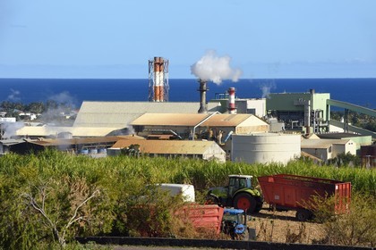 France, Ile de la Reunion, Saint-Louis, l'usine sucrière du Gol derrière les champs de canne à sucre